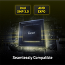 Lexar Thor RGB 32GB Kit (2x16GB) DDR5 6000MT/s CL38 AMD Expo & Intel Xmp 3.0 Gaming Desktop Memory (Black) (LD5U16G60C38BG-RGD)