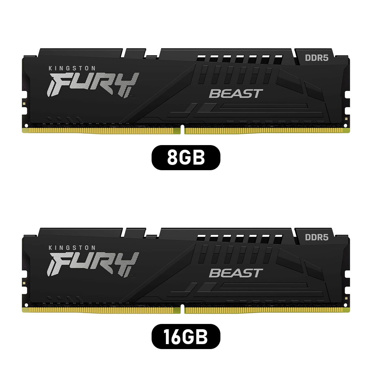 Kingston Fury Beast DDR5 5600MT/s CL36-38-38 1.25V EXPO/XMP Desktop Memory