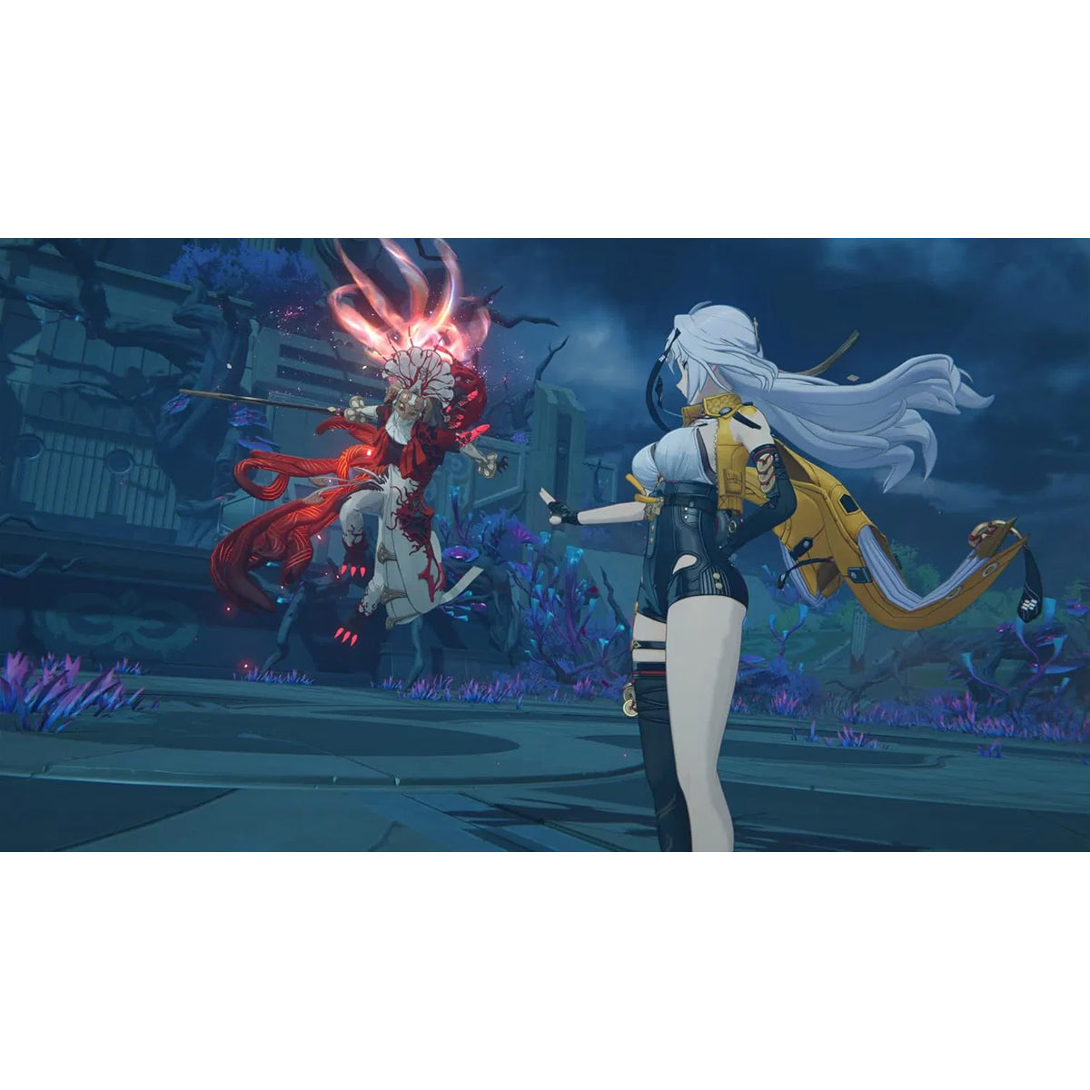 Zenless Zone Zero Collector Edition