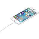 Apple Lightning To USB 2.0 Cable - 1m (MXLY2ZA/A)