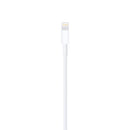 Apple Lightning To USB 2.0 Cable - 1m (MXLY2ZA/A)