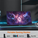 Adreamer LibraScreen 15M 15.6" FHD (1920x1080) 60Hz IPS Single Portable Monitor