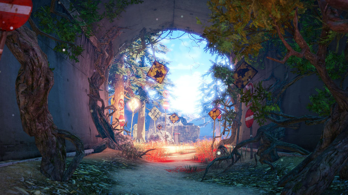Nintendo Switch Blue Reflection Second Light