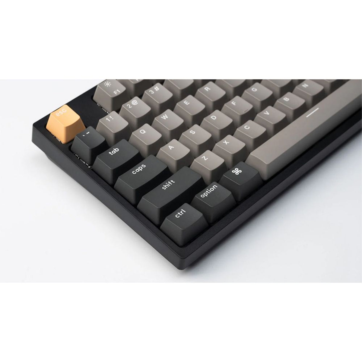 Keychron C1 Pro QMK/Via White Backlight TKL Wired Mechanical Keyboard (K Pro Brown Switch) (C1P-A3)