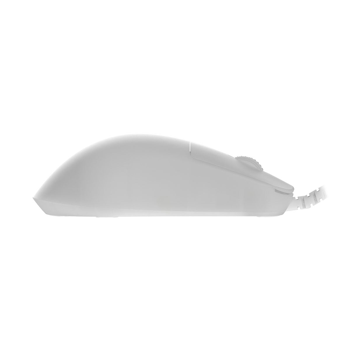 Endgame Gear OP1 RGB Wired Gaming Mouse