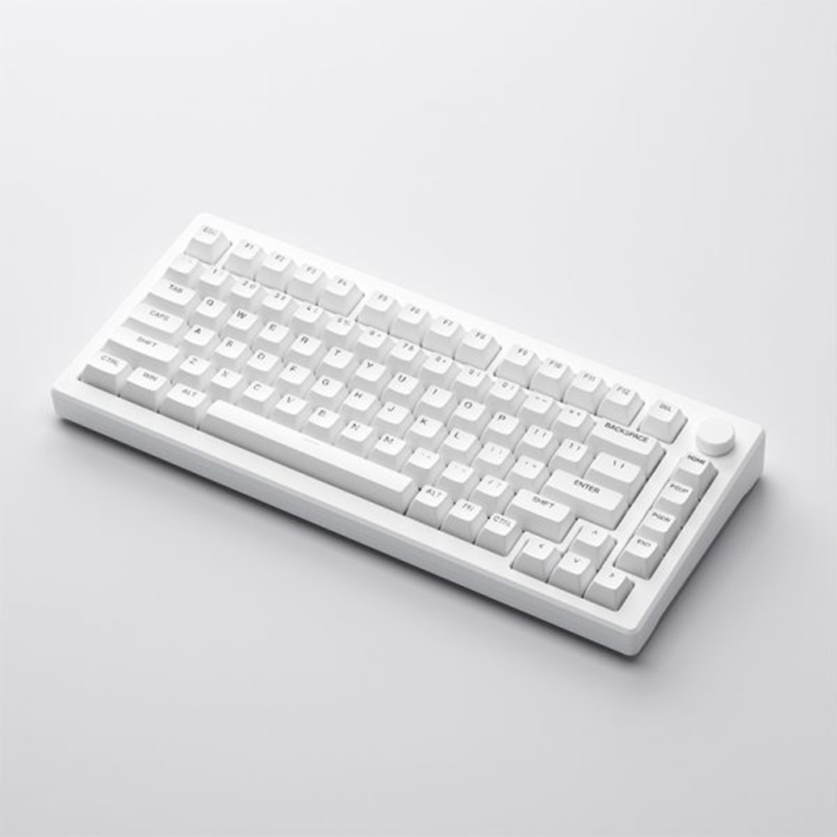 Akko MOD 007B PC Shine-Through Multi-Mode RGB Hot-Swappable Mechanical Keyboard (Ice Cream Pink)