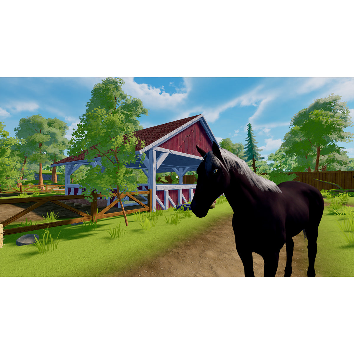 Sophias Animal Clinic - Mission Wildlife Park