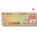 Akko TAC87 Bun Wonderland Multi-Mode RGB Hot-Swappable Mechanical Keyboard