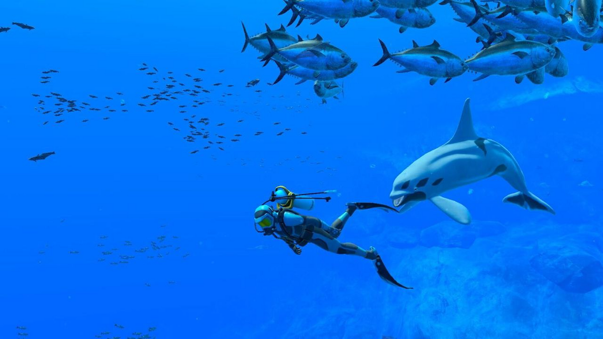 Nintendo Switch Endless Ocean Luminous