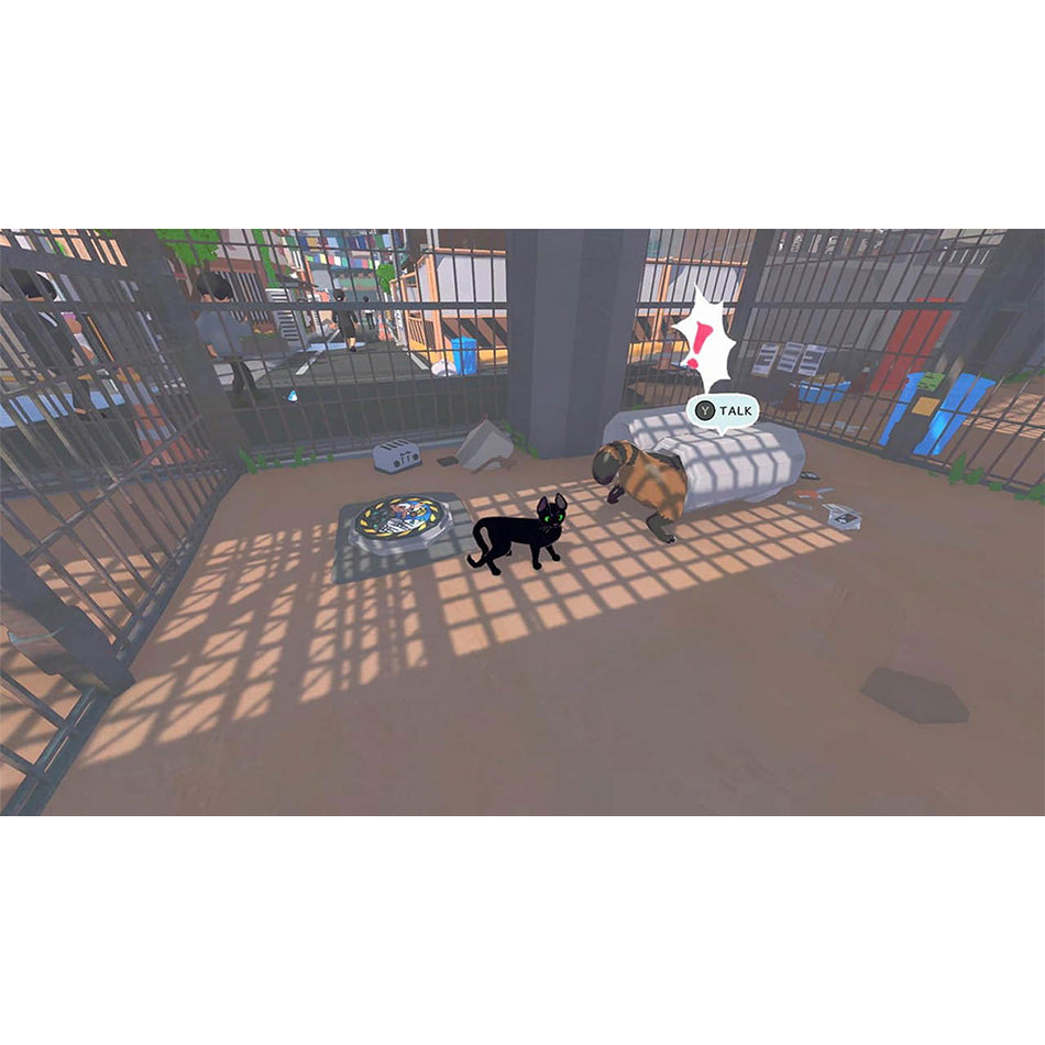 Little Kitty Big City | DataBlitz