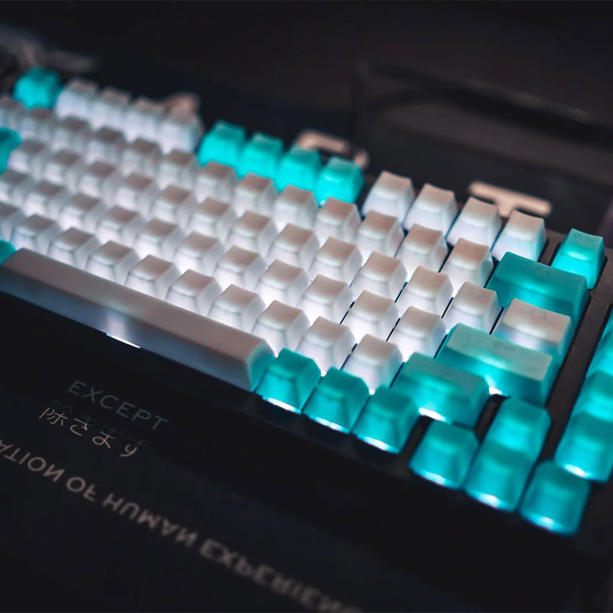 Taihao Double Shot ABS-Cubic Profile Keycaps Set For Cherry MX Switch (149-Keys)