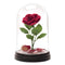 Paladone Beauty And The Beast Enchanted Rose Light (PP4344DPV4)