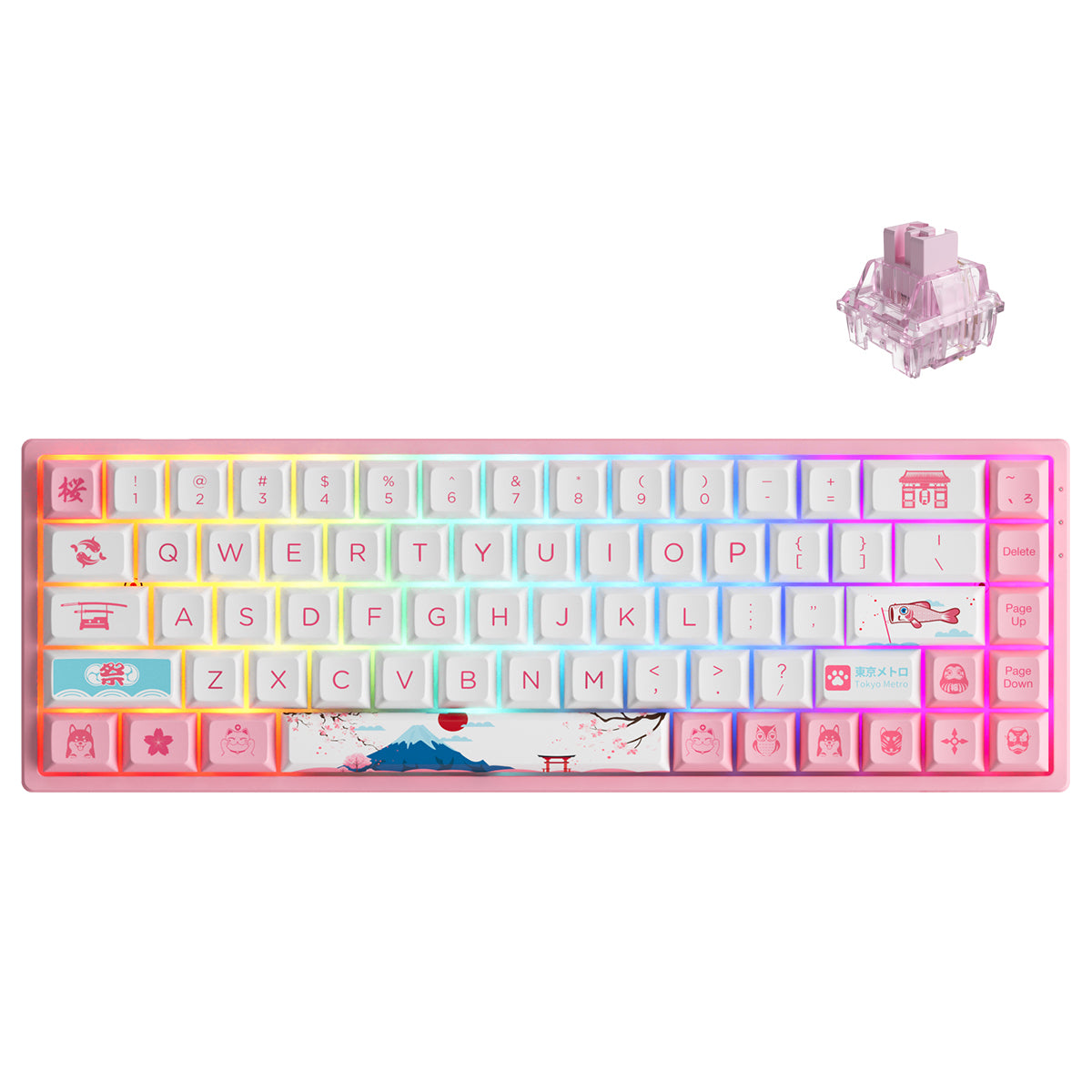 AKKO World Tour Tokyo R2 3068B Plus Multi-Modes RGB Mechanical Keyboard (AKKO CS Jelly Pink)