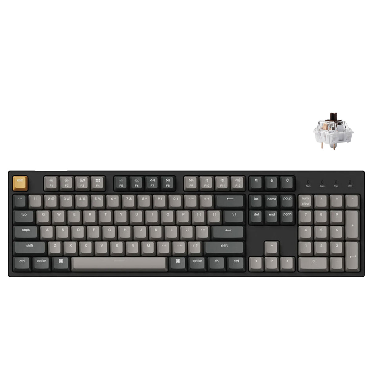 Keychron C2 Pro QMK/VIA RGB Backlit Hot-Swappable Full Size Wired Mechanical Keyboard (K Pro Red Switch)