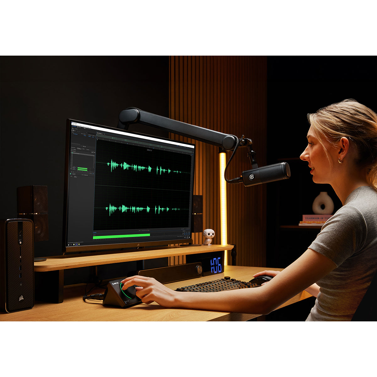 Elgato Wave Mic Arm MK.2 (10AAY9901)