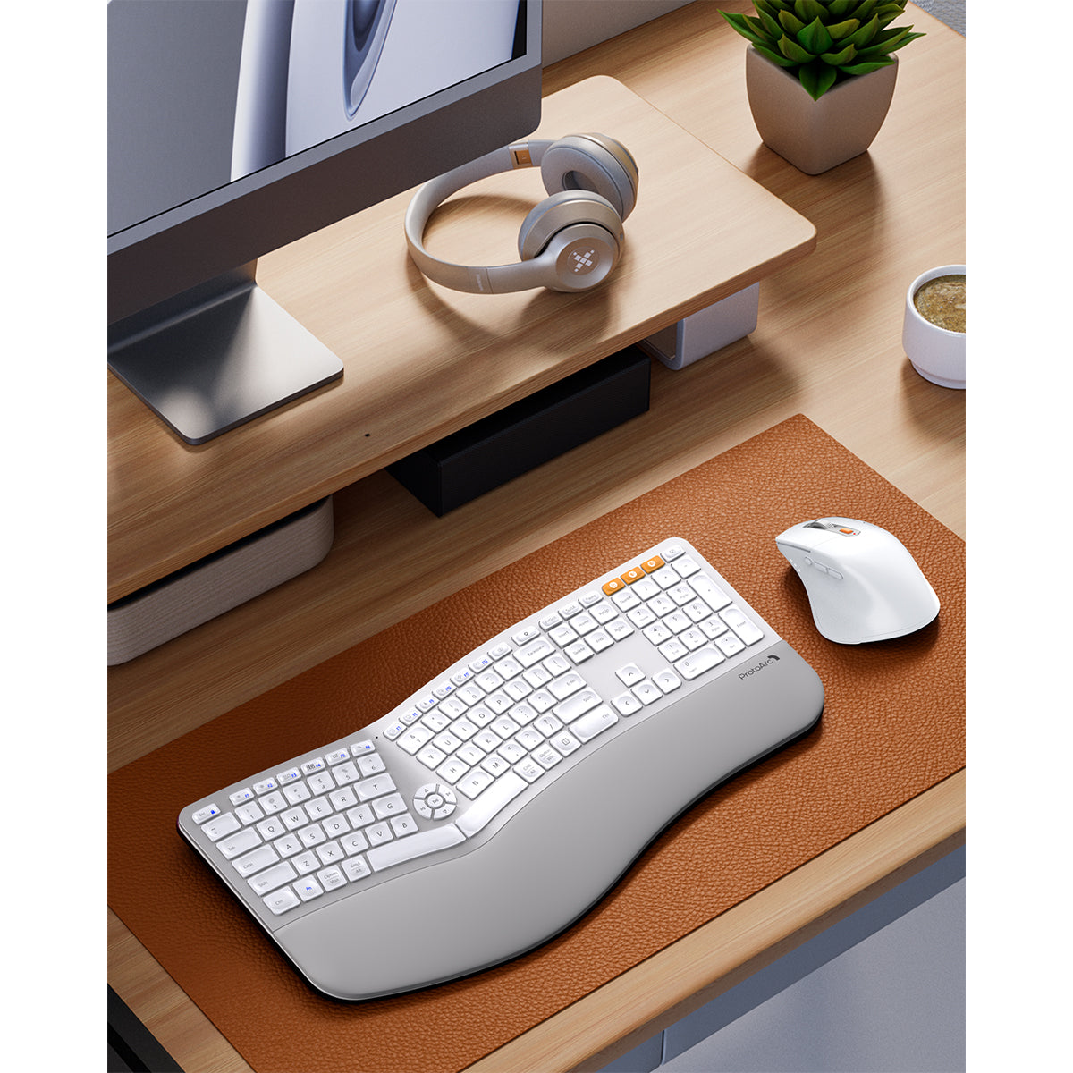 ProtoArc EKM01 Plus Dual Mode Full Size Ergonomic Keyboard Mouse Combo (White/Silver) (CP015758)