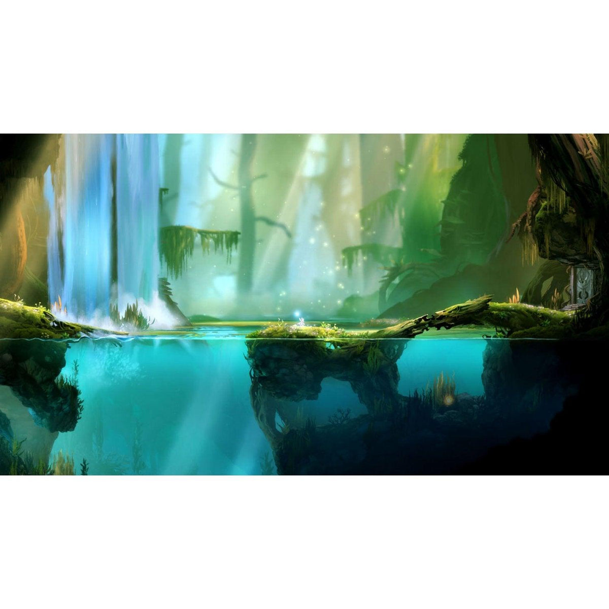 Nintendo Switch Ori And The Blind Forest Definitive Edition