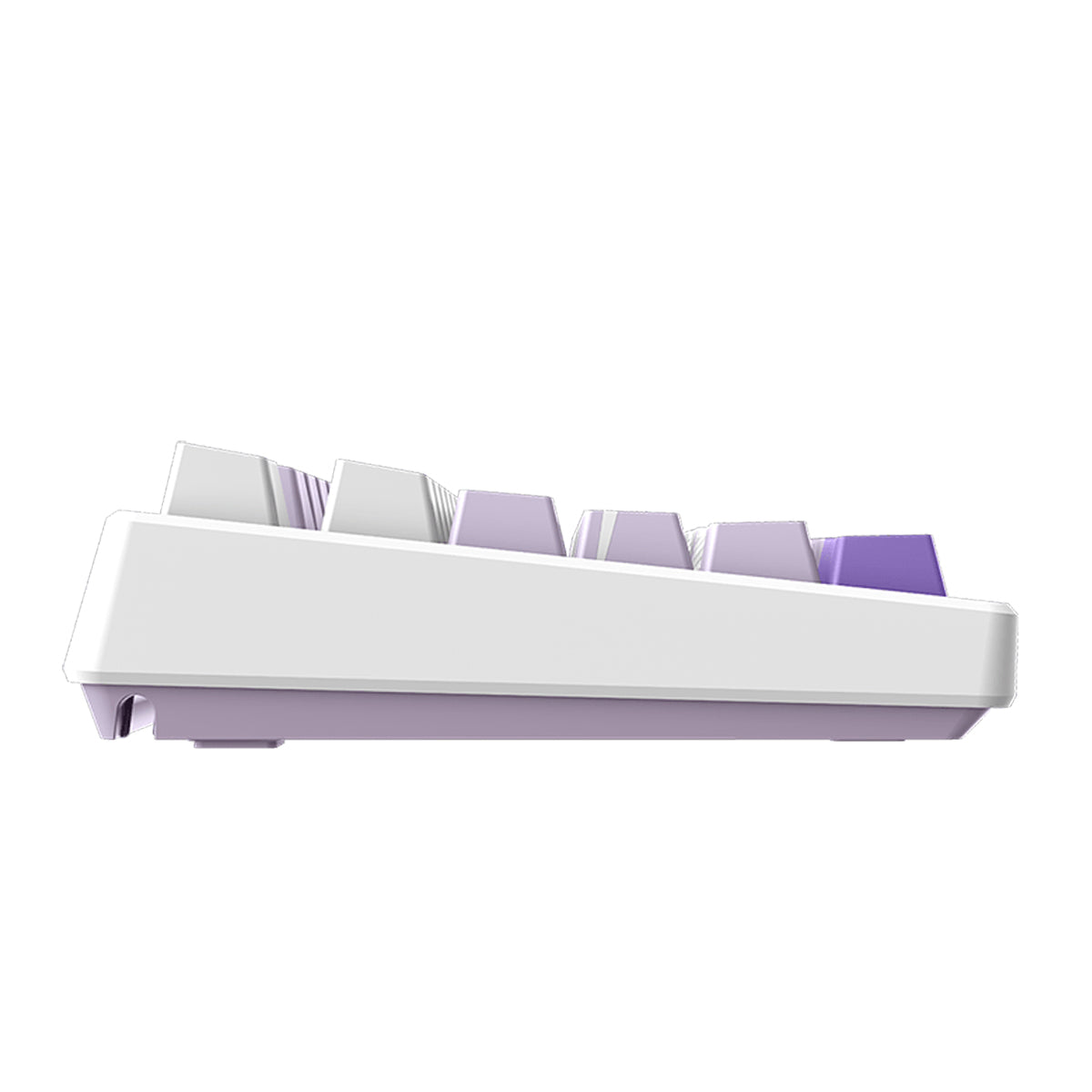 MSI Forge TKL Wireless Frieren Edition RGB Mechanical Gaming Keyboard