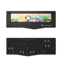 Akko ACR Pro Alice Plus Barebone Custom Mechanical Keyboard Hot-Swappable Diy Kit Gasket Mount (Black) - DataBlitz