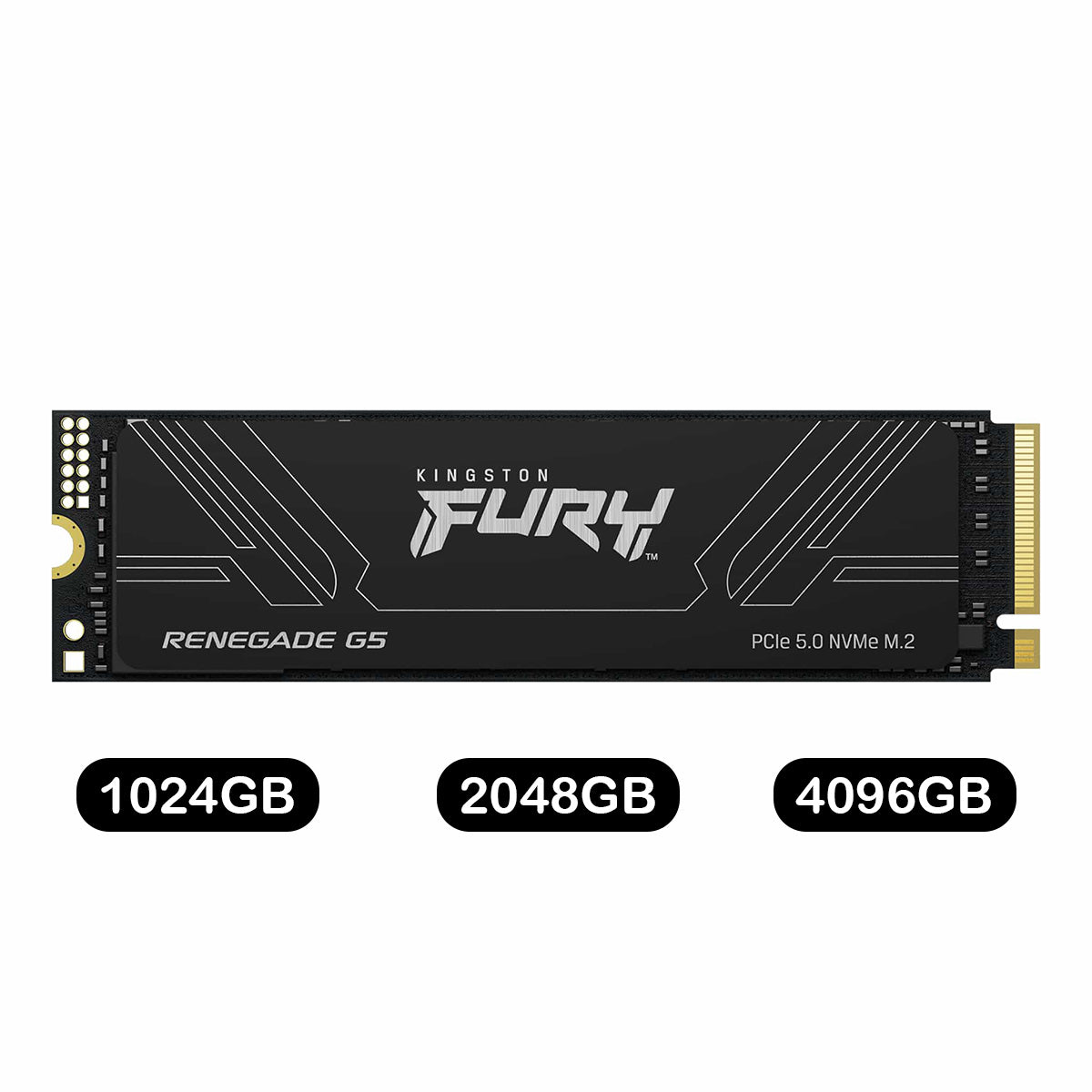 Kingston Fury Renegade G5 PCIe Gen5 NVMe M.2 2280 SSD | DataBlitz