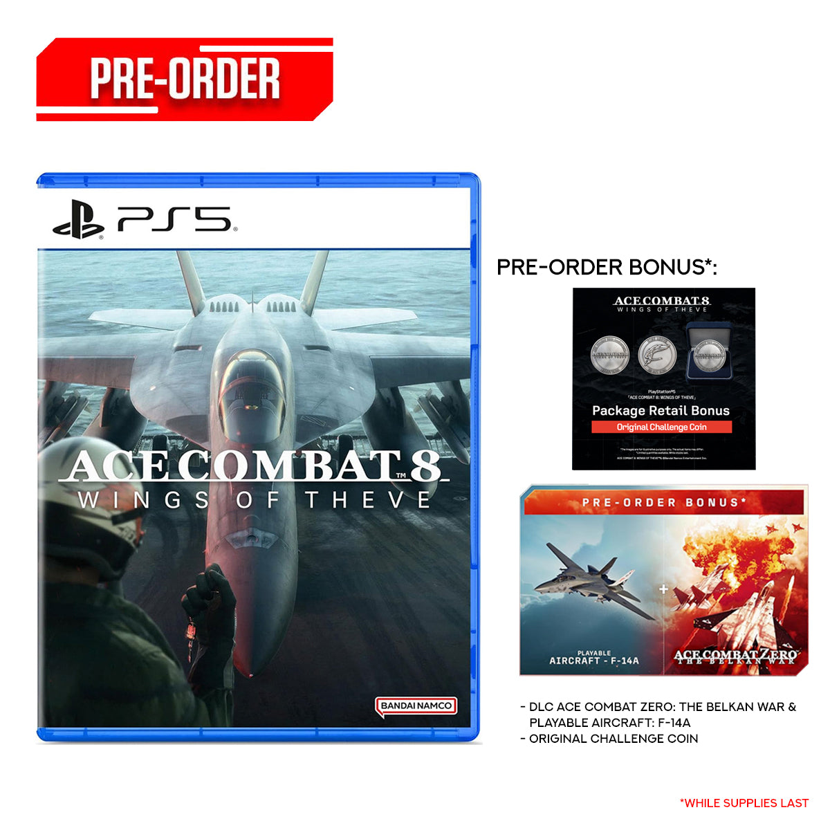 Ace Combat 8 Wings of Theve | DataBlitz