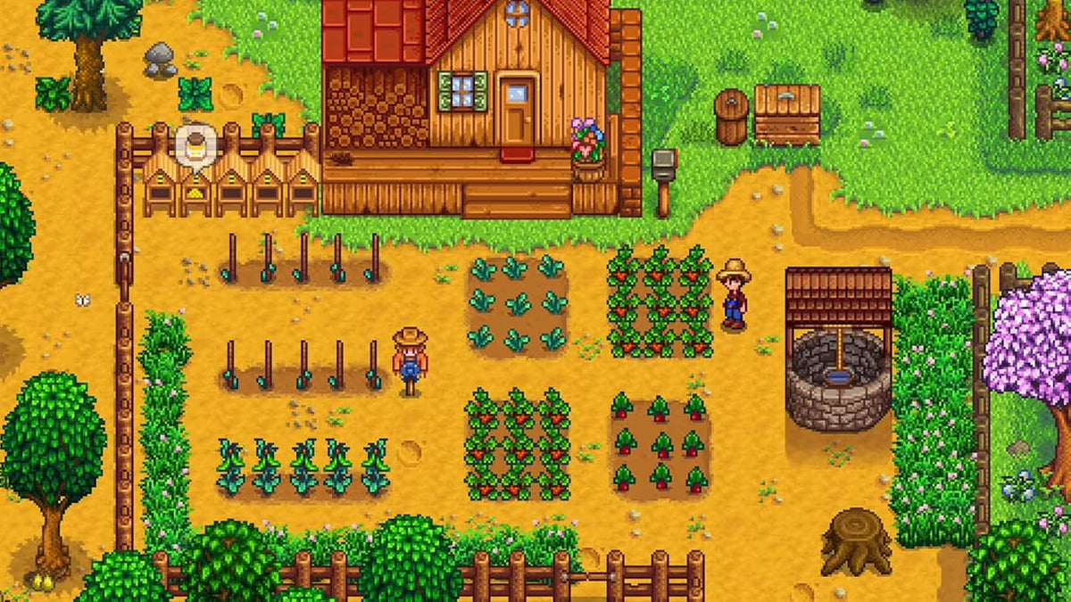 Nintendo Switch 2 Stardew Valley