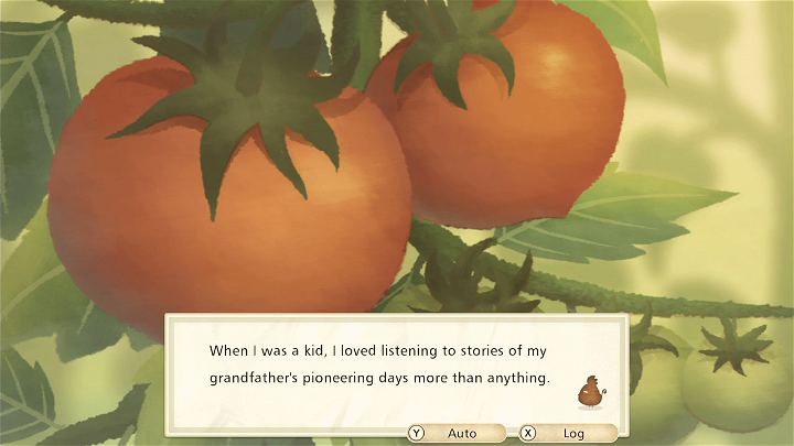 NINTENDO SWITCH STORY OF SEASONS PIONEERS OF OLIVE TOWN