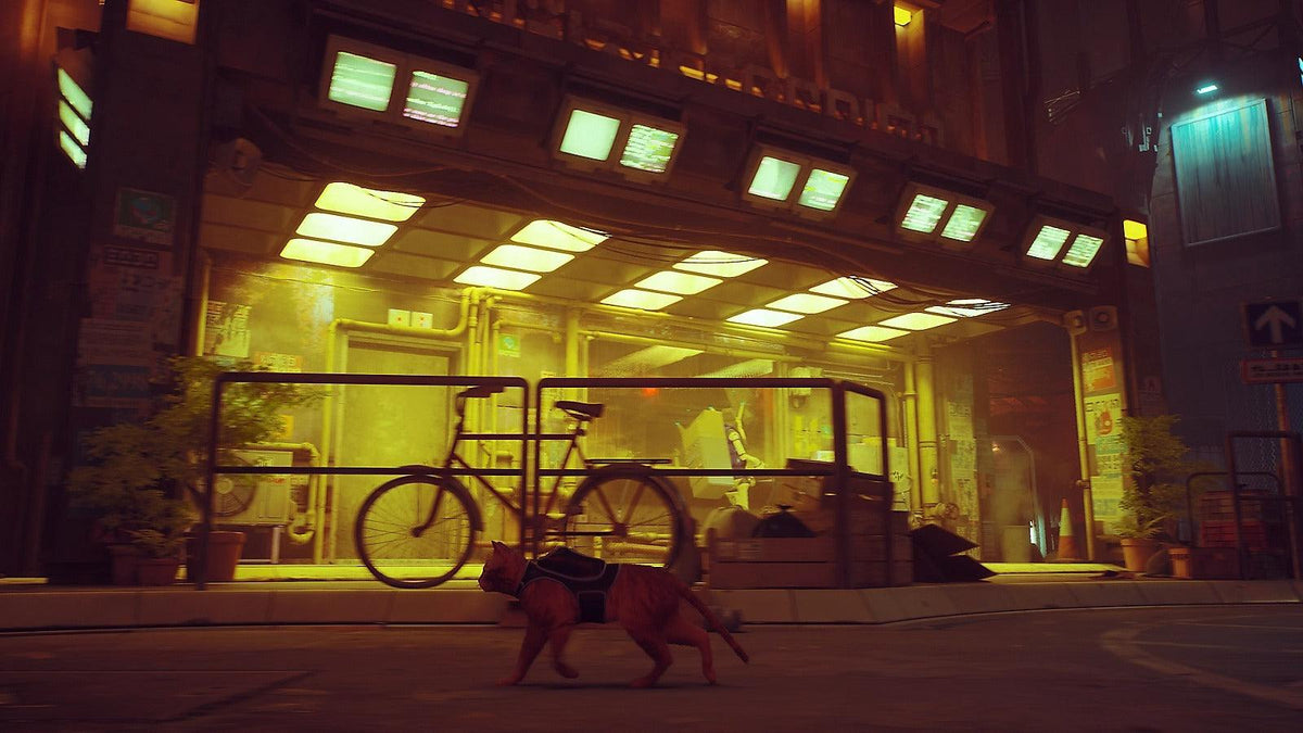 PS5 Stray (ENG/EU)