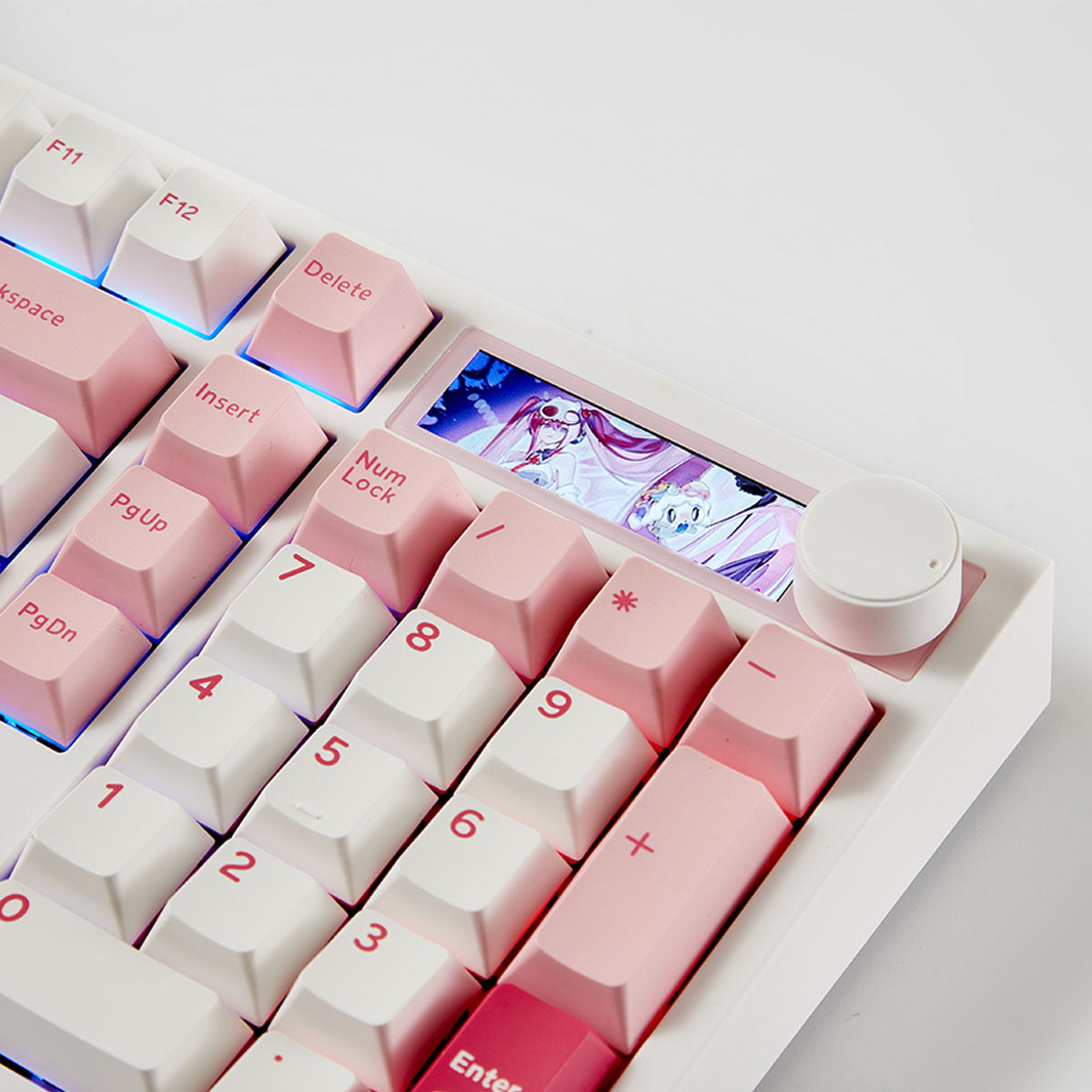 Akko 5098 V5 Prunus Lannesiana Multi-Mode RGB Hot-Swappable Mechanical Keyboard