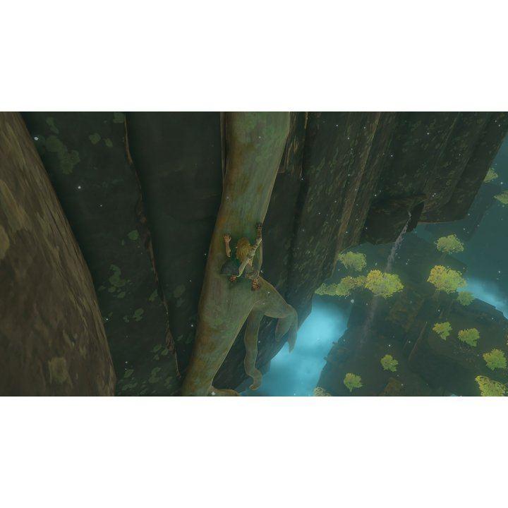 NINTENDO SWITCH THE LEGEND OF ZELDA TEARS OF THE KINGDOM