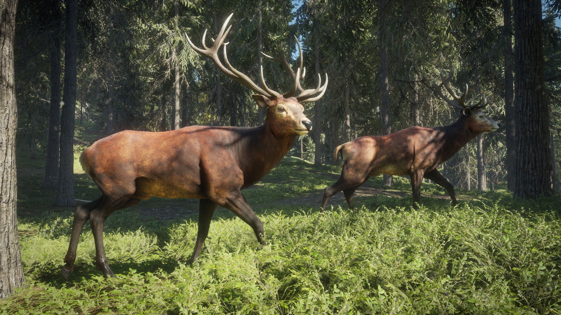 XBOXONE The Hunter Call Of The Wild 2019 Edition (EU) (Eng/FR/SP)
