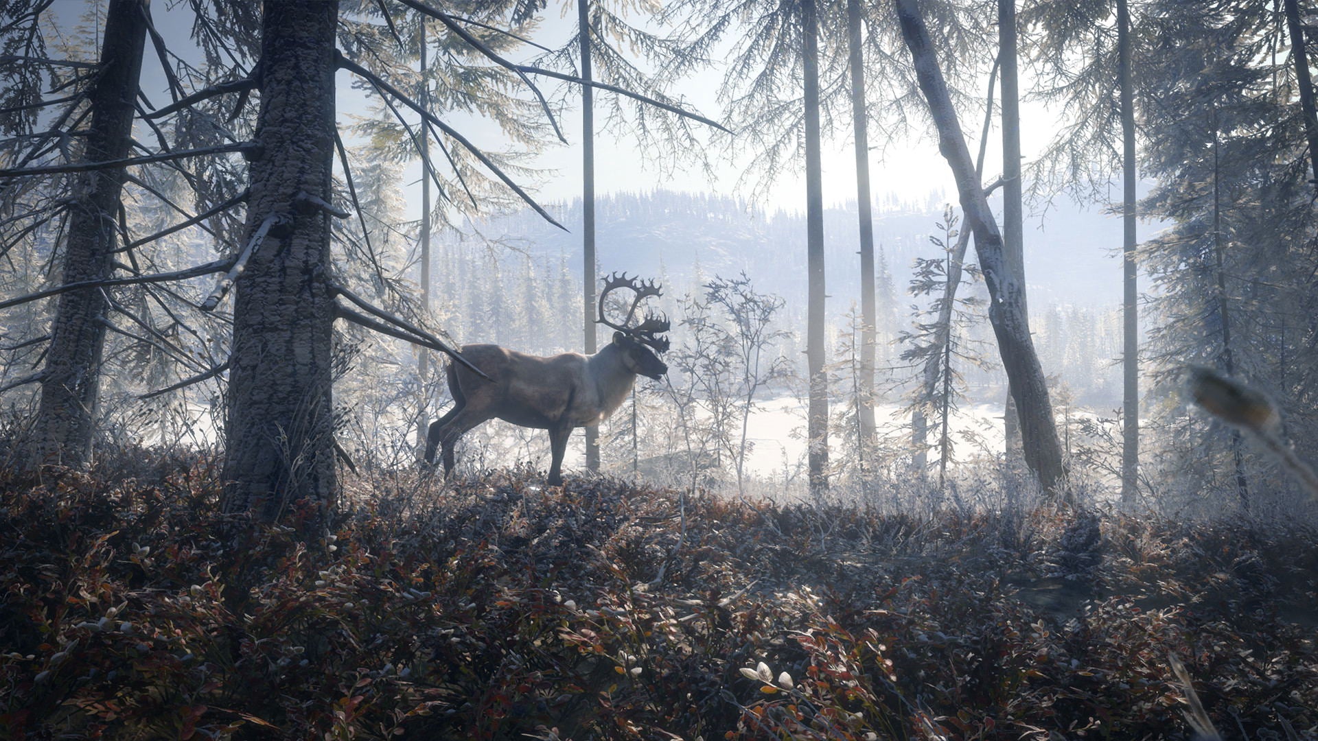 XBOXONE The Hunter Call Of The Wild 2019 Edition (EU) (Eng/FR/SP)