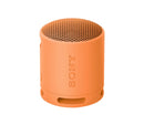 Sony SRS-XB100 Wireless Speaker
