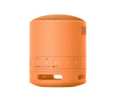 Sony SRS-XB100 Wireless Speaker