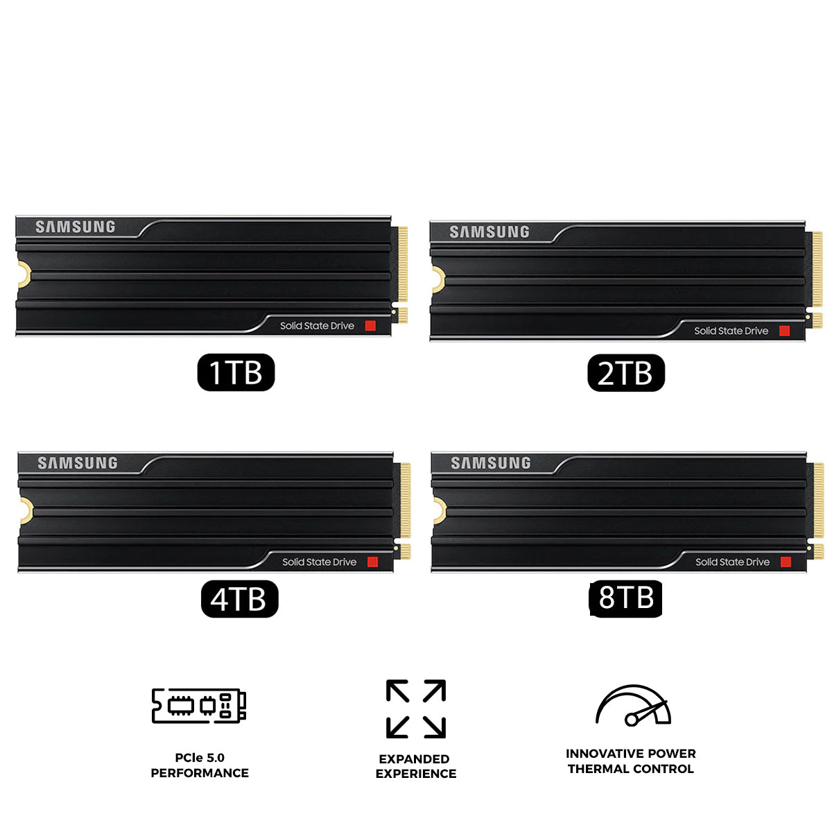 Samsung 9100 Pro PCIe 5.0 x4 NVMe M.2 SSD with Heatsink | DataBlitz