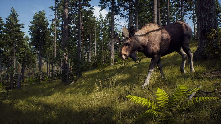 PS5 Way Of The Hunter Hunting Season One (ENG/EU)
