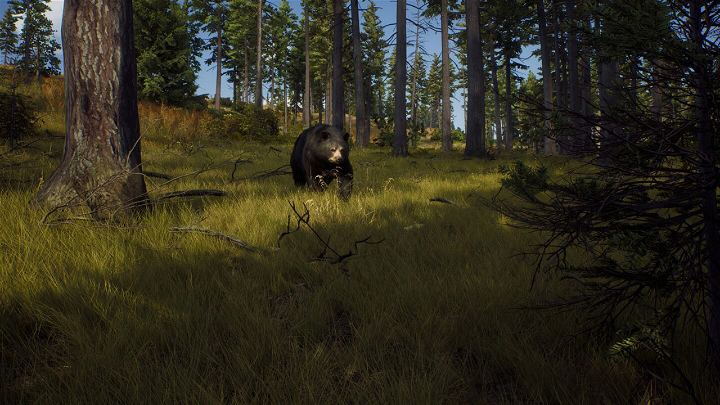 PS5 Way Of The Hunter Hunting Season One (ENG/EU)
