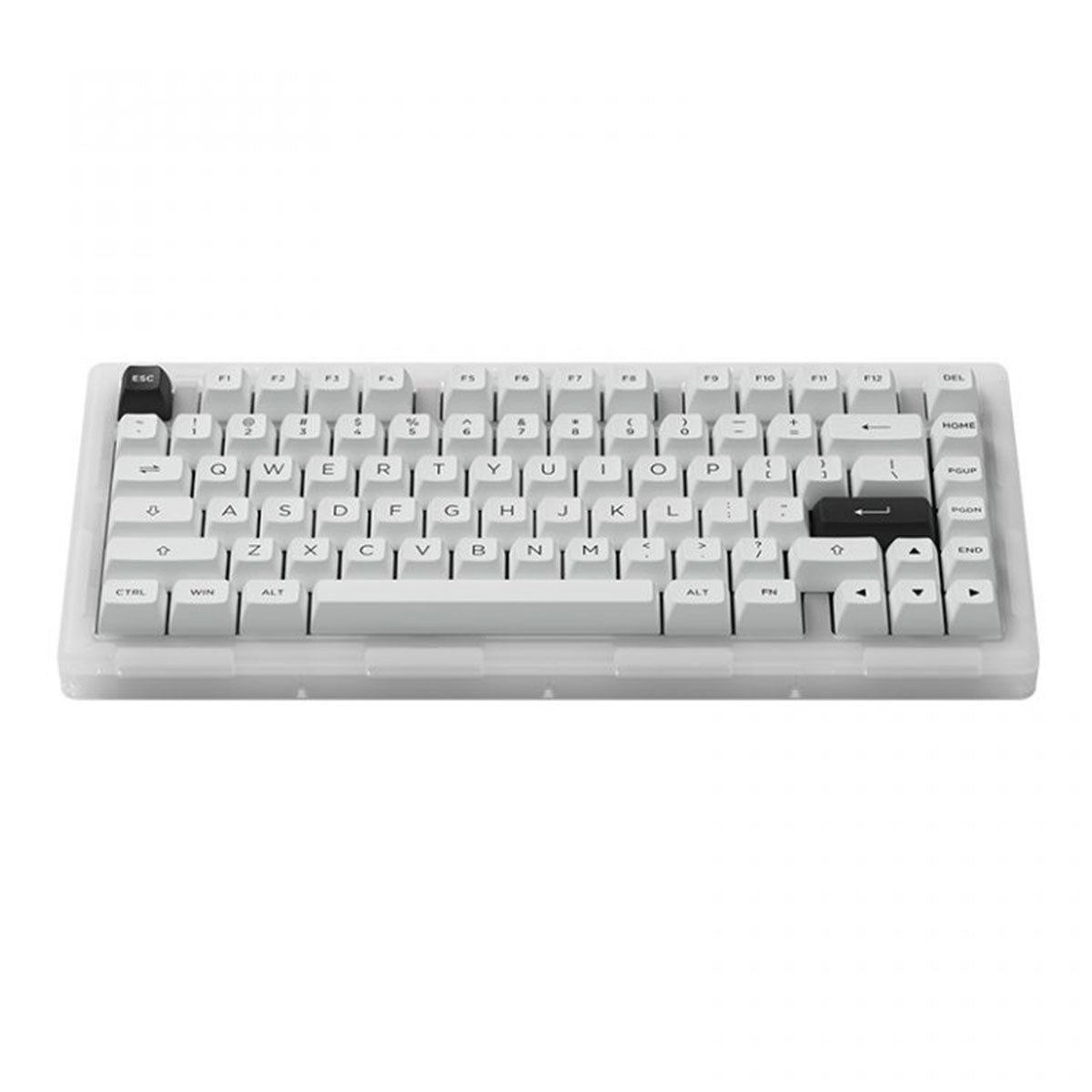 AKKO ACR Pro 75 RGB Hot-Swappable Mechanical Keyboard (Akko Crystal)