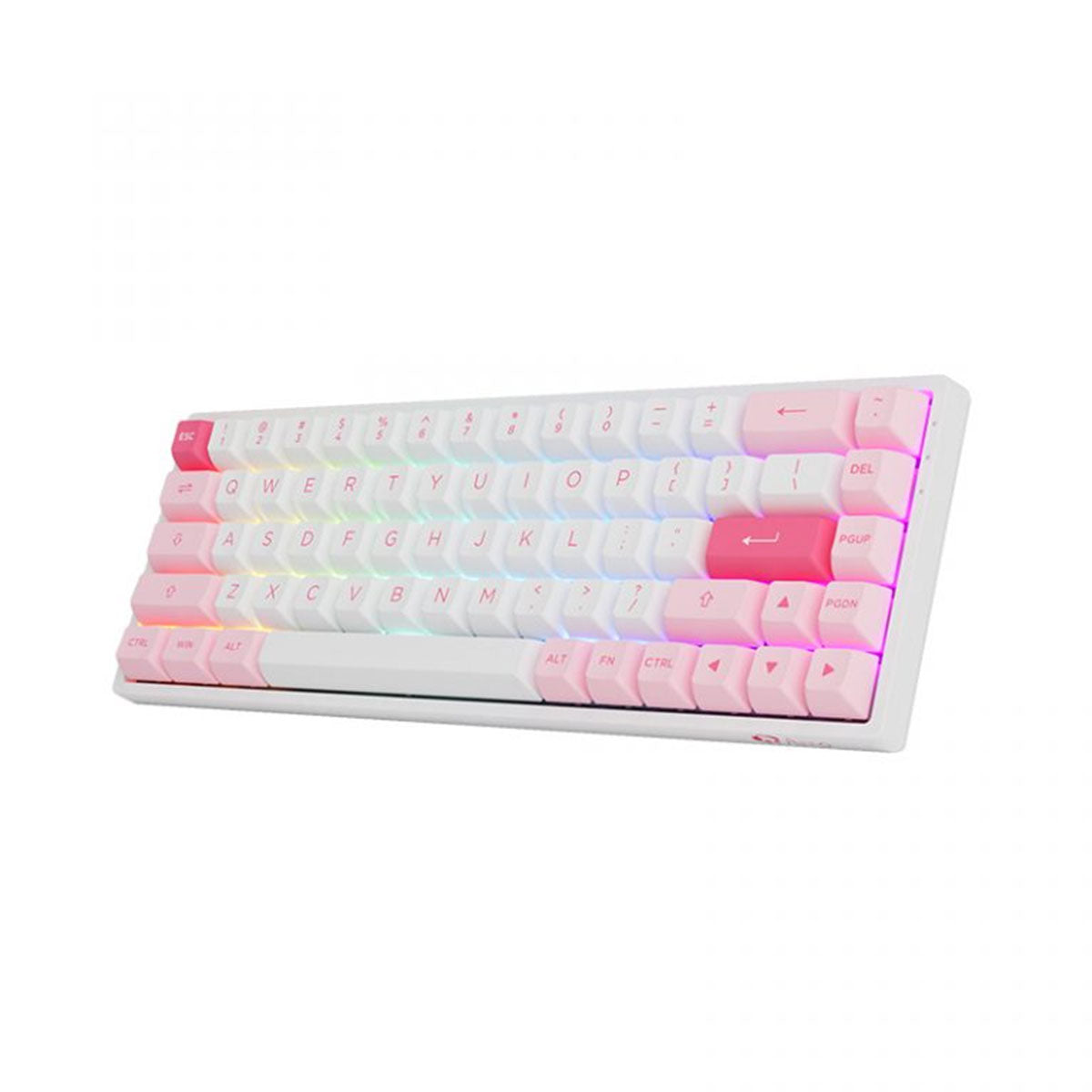 Akko Prunus Lannesiana 3068B Plus Multi-Modes RGB Mechanical Keyboard (Akko CS Jelly Purple)