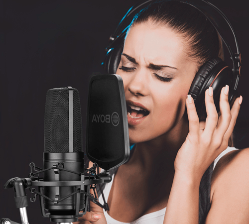 BOYA BY-M1000 Large Diaphragm Condenser Microphone - DataBlitz