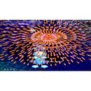 Nintendo Switch Psyvariar Delta