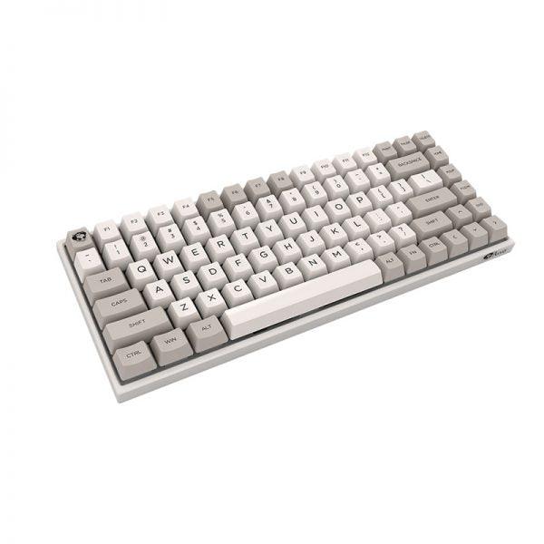 AKKO 9009 RETRO 3084 MECHANICAL KEYBOARD (CHERRY MX BROWN) - DataBlitz