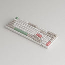 Akko 9009 Retro 3098B Multi-Modes RGB Mechanical Keyboard (AKKO CS Jelly White) - DataBlitz