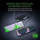 RAZER PBT KEYCAP UPGRADE SET FOR MECHANICAL AND OPTICAL KEYBOARDS DOUBLESHOT KEYCAPS MERCURY WHITE - DataBlitz