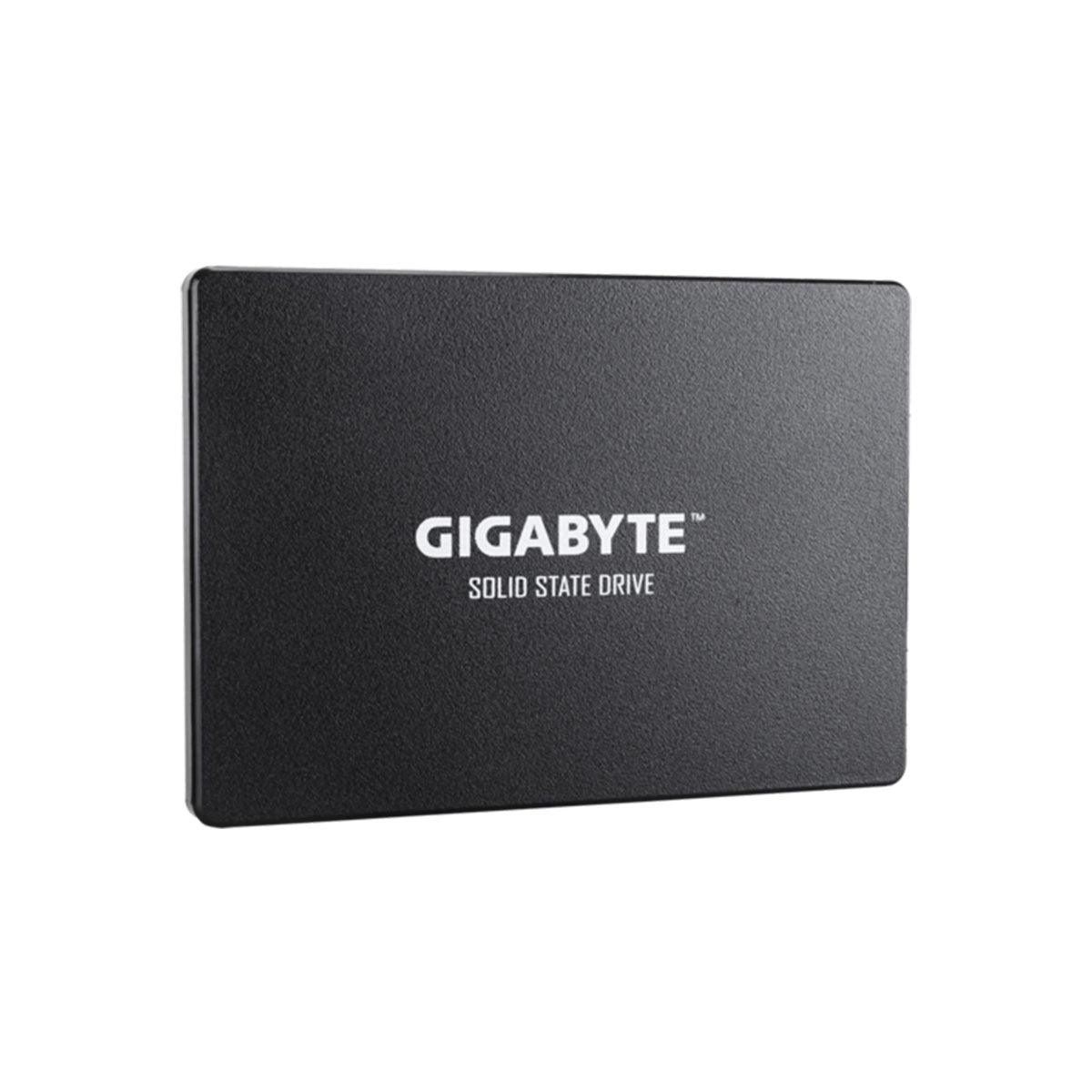 Gigabyte Solid State Drive (1TB) (GP-GSTFS31100TNTD) - DataBlitz