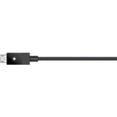 XBOX ONE WIRELESS CONTROLLER + CABLE FOR WINDOWS (ASIAN) - DataBlitz