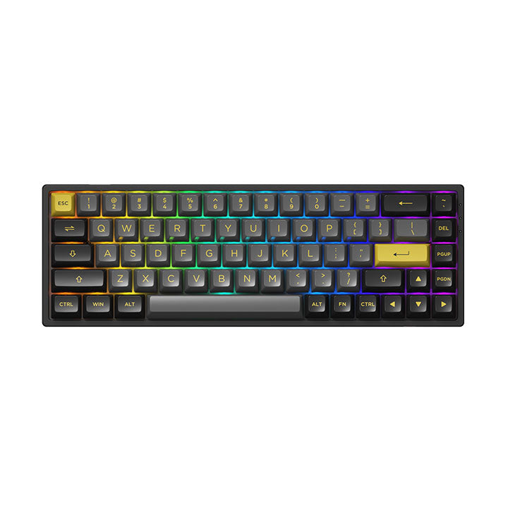 Akko Black & Gold 3068B Multi-Modes (Akko X TTC Demon)