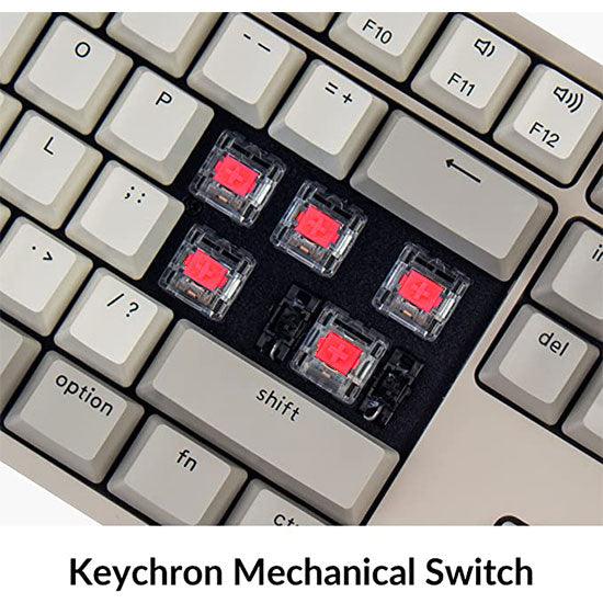 Keychron C1 87-Key Tenkeyless Non-Backlight Hot-Swappable Wired Mechanical Keyboard (Red Switch) (C1m1) - DataBlitz
