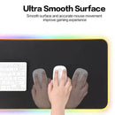 ROYAL KLUDGE FGD-02 RGB GAMING MOUSEPAD (XL) - DataBlitz