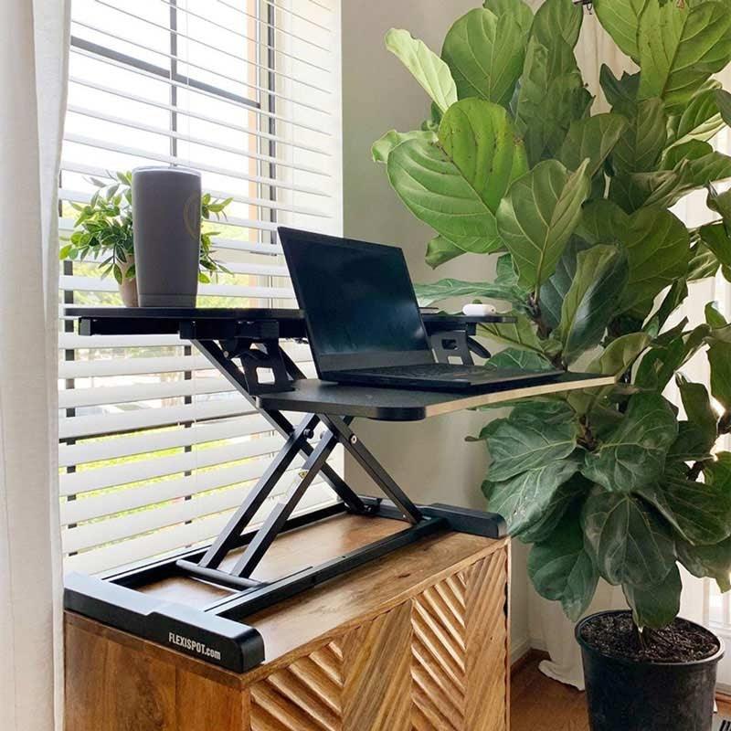 FLEXISPOT STANDING DESK CONVERTER 28-INCHES (M6-BLACK) - DataBlitz